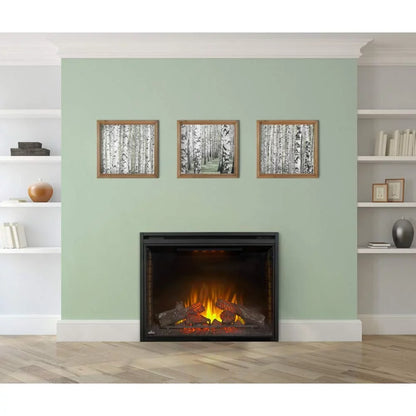 Built-in Electric Firebox Insert. Napoleon 40 in