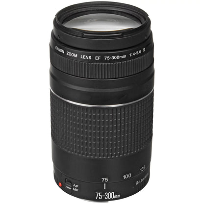 EOS R6 Mirrorless Digital Camera with RF 24-105mm STM + 75-300mm Lens + Mount Adapter + 2 Pack SanDisk 32GB + ZeeTech Accessory