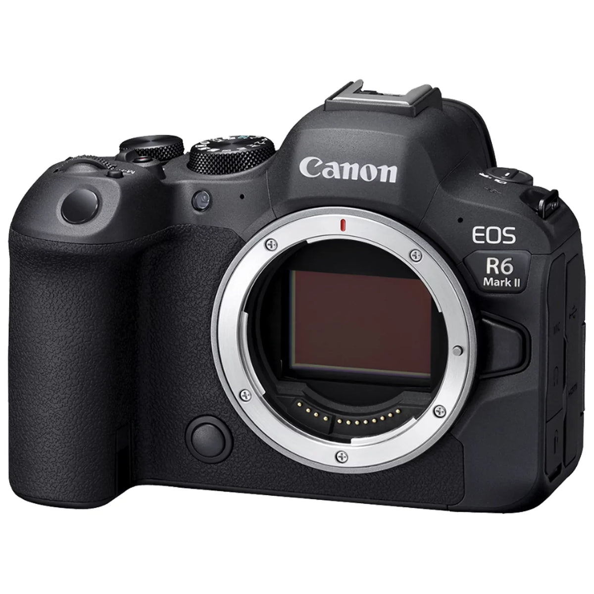 EOS R6 Mark II Mirrorless Camera (Body) with SanDisk 64GB Memory Card + Case + LED Flash + ZeeTech Accessory Bundle