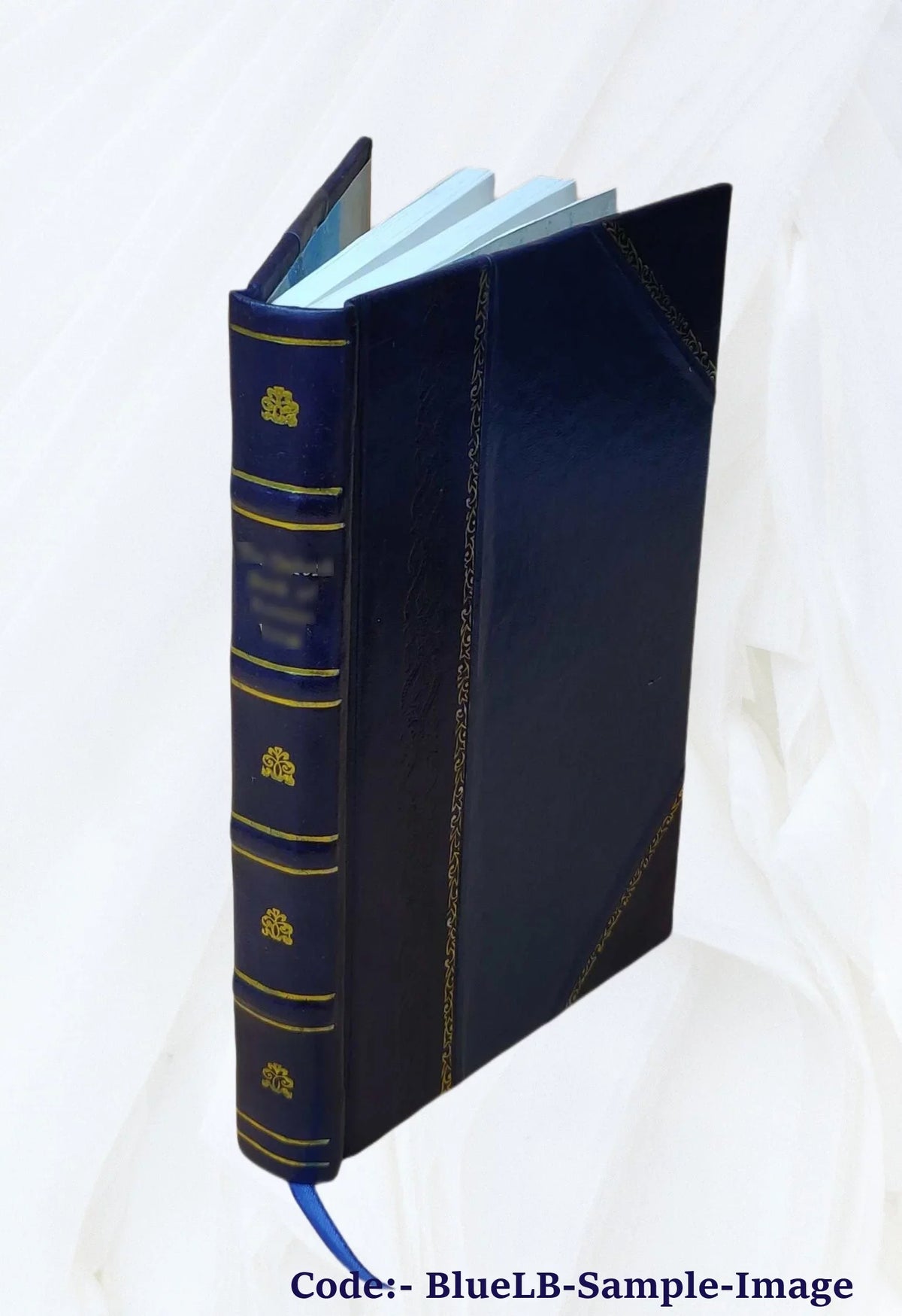1 1926 [Leather Bound]. Volume v. Voyageurs d'Orient