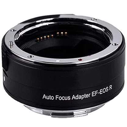 EOS R6 Mirrorless Digital Camera with RF 24-105mm STM + 75-300mm Lens + Mount Adapter + 2 Pack SanDisk 32GB + ZeeTech Accessory