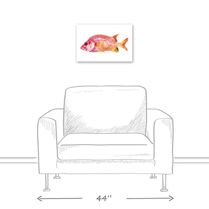 Creative Products Tropical Red Snapper Fish 12x18 Canvas Wall Art