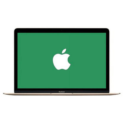 Certified Used A Grade Macbook 12-inch Laptop (Retina, Gold) 1.1GHz Core M MK4M2LL/A 256 GB SSD 8 GB Memory 2304x1440 Display Mac OS X v10.12 Sierra Power Adapte