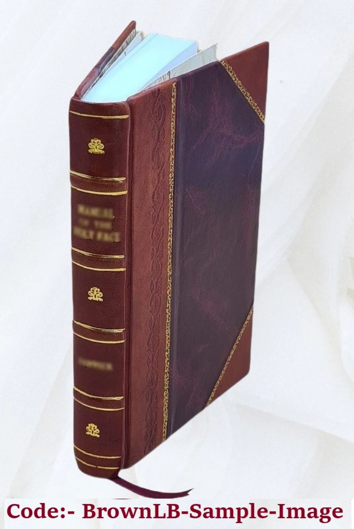 1819 [Leather Bound]. Lodovico Castelvetro ... Apologia degli Accademici di Banchi di Roma contro M