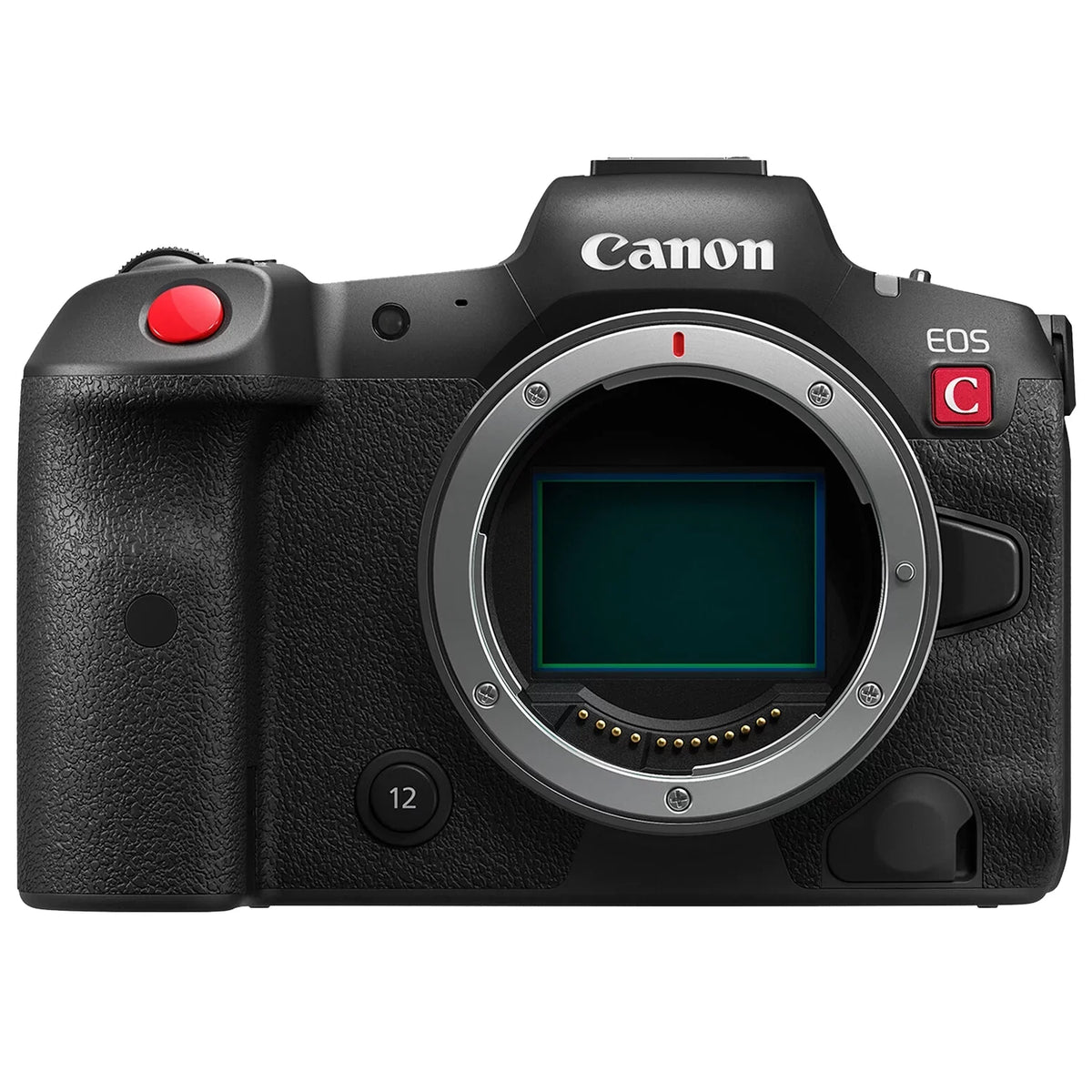 EOS R5 C Mirrorless Cinema Camera (Body) with 2 Pack SanDisk 128GB Memory Card + Case + ZeeTech Accessory Bundle