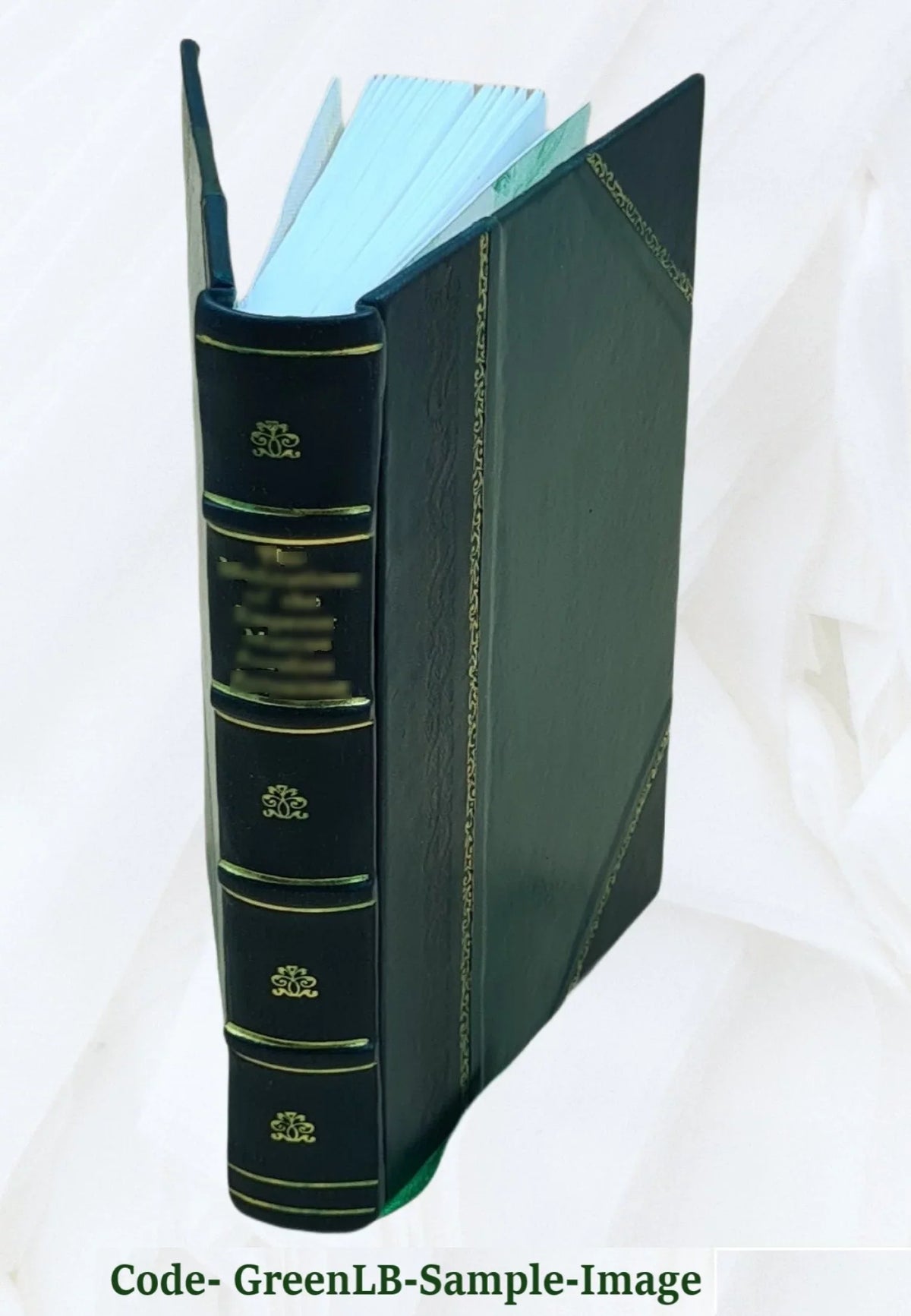 1860 [Leather Bound]. O neos Robinson