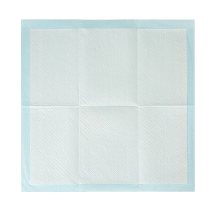 Arm & Hammer for Dogs Puppy Training Pads, 200ct | Odor Control, Leak-Proof Puppy Pads
