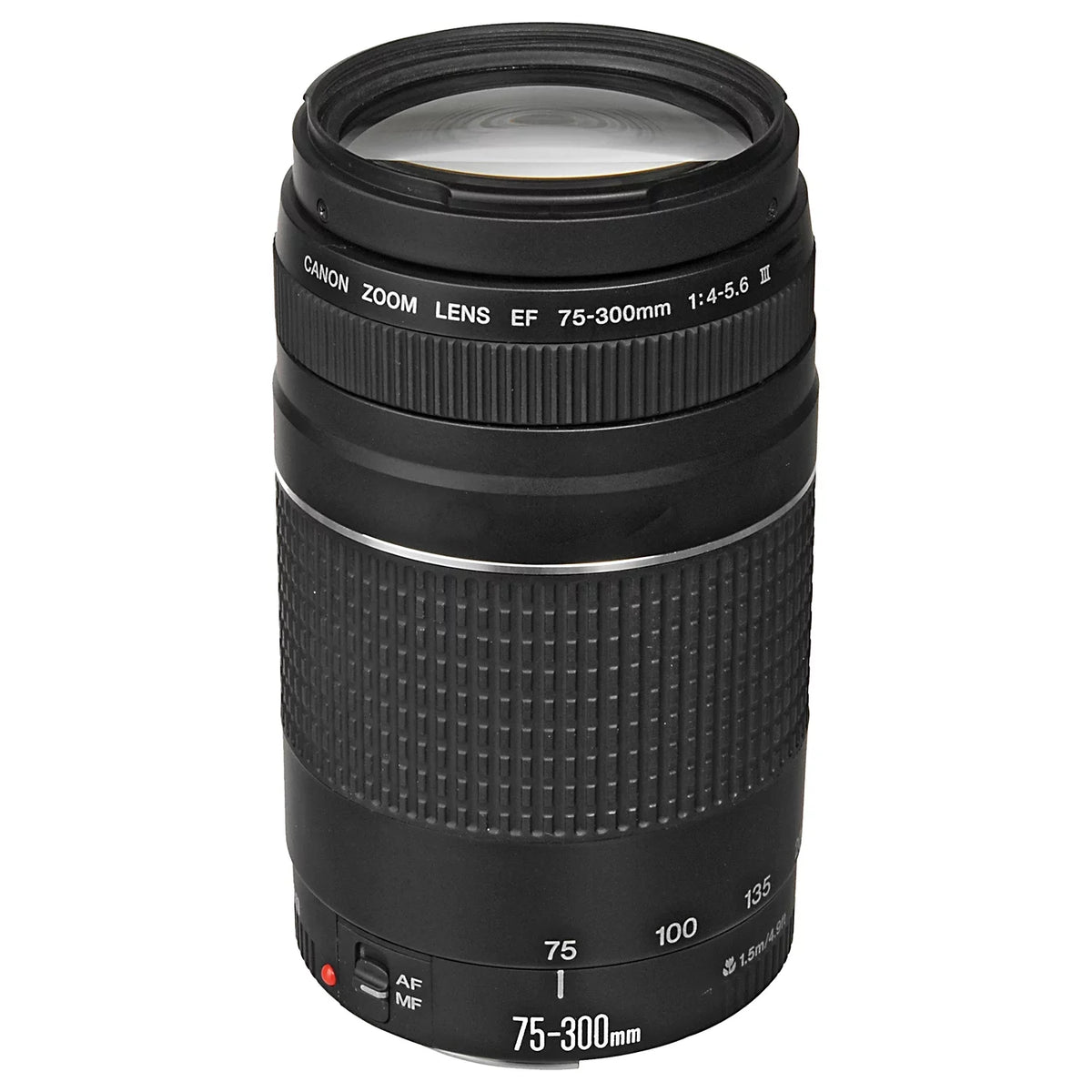EOS R6 Mark II Mirrorless Camera with RF 24-105mm Lens + EF 75-300mm + Mount Adapter + SanDisk 128GB Memory Card + Case + LED Flash + ZeeTech Accessory Bundle