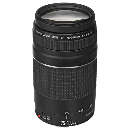 EOS R6 Mark II Mirrorless Camera with RF 24-105mm Lens + EF 75-300mm + Mount Adapter + SanDisk 128GB Memory Card + Case + LED Flash + ZeeTech Accessory Bundle