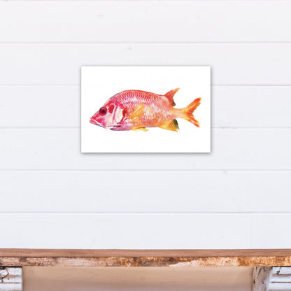 Creative Products Tropical Red Snapper Fish 12x18 Canvas Wall Art